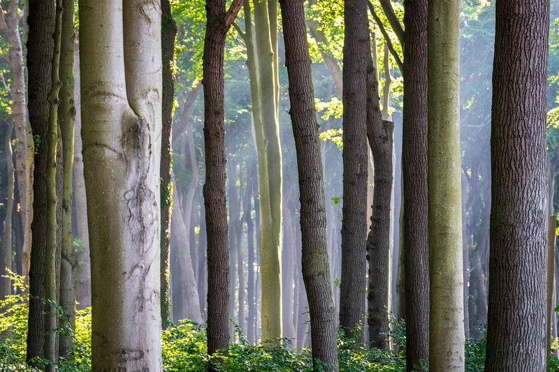 Vertical landscaping
